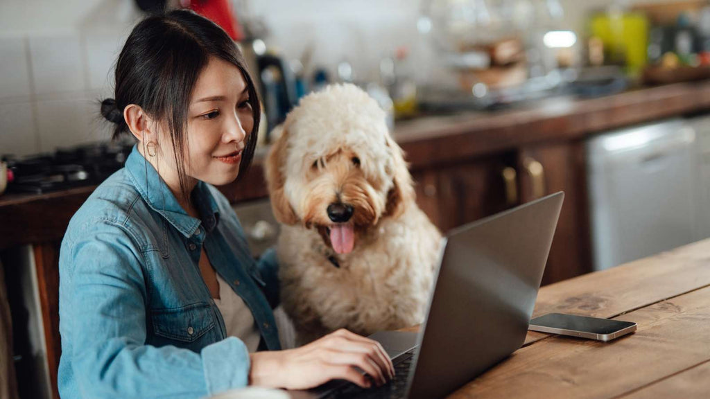 How to Adopt a Dog Online