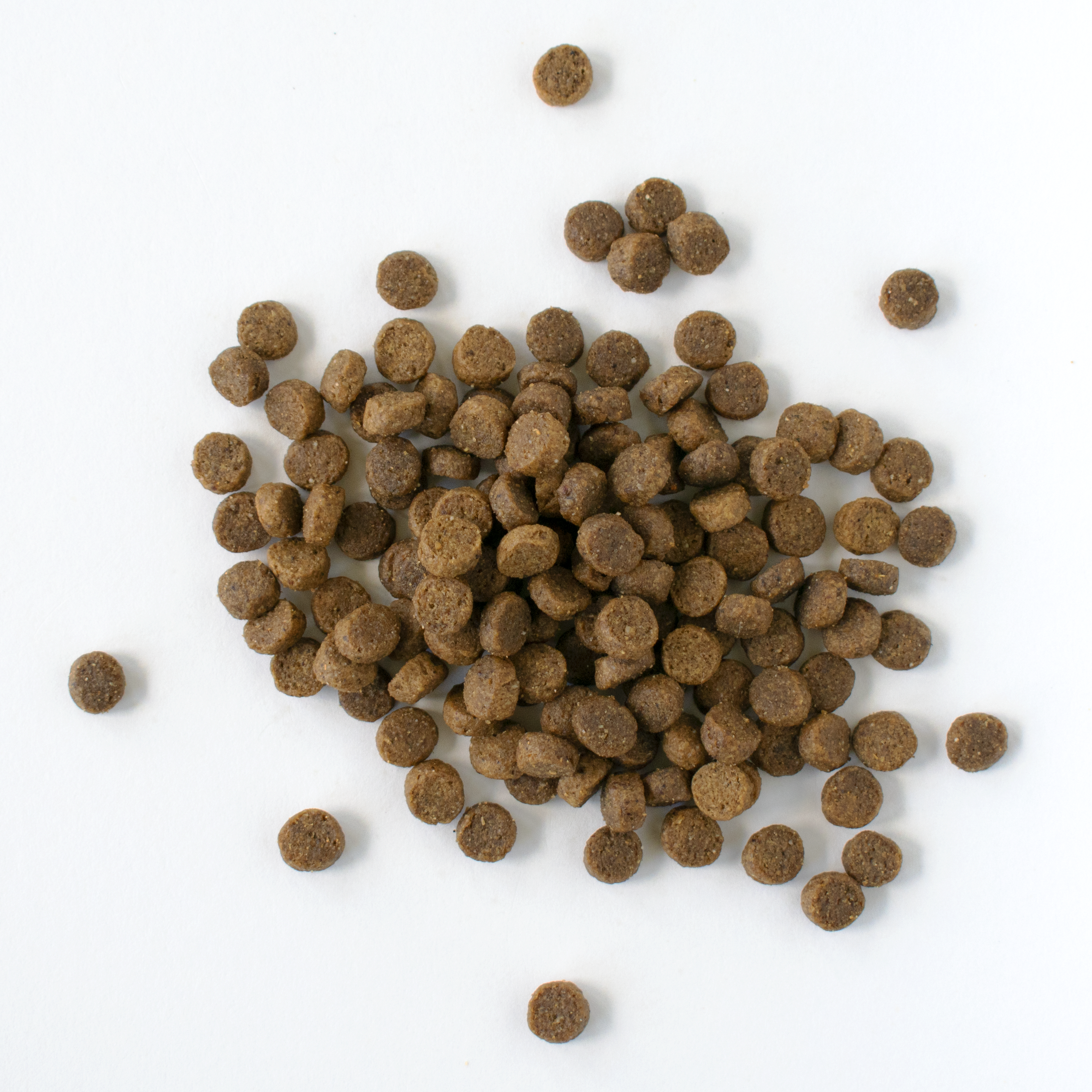 Puppy Food - Dog