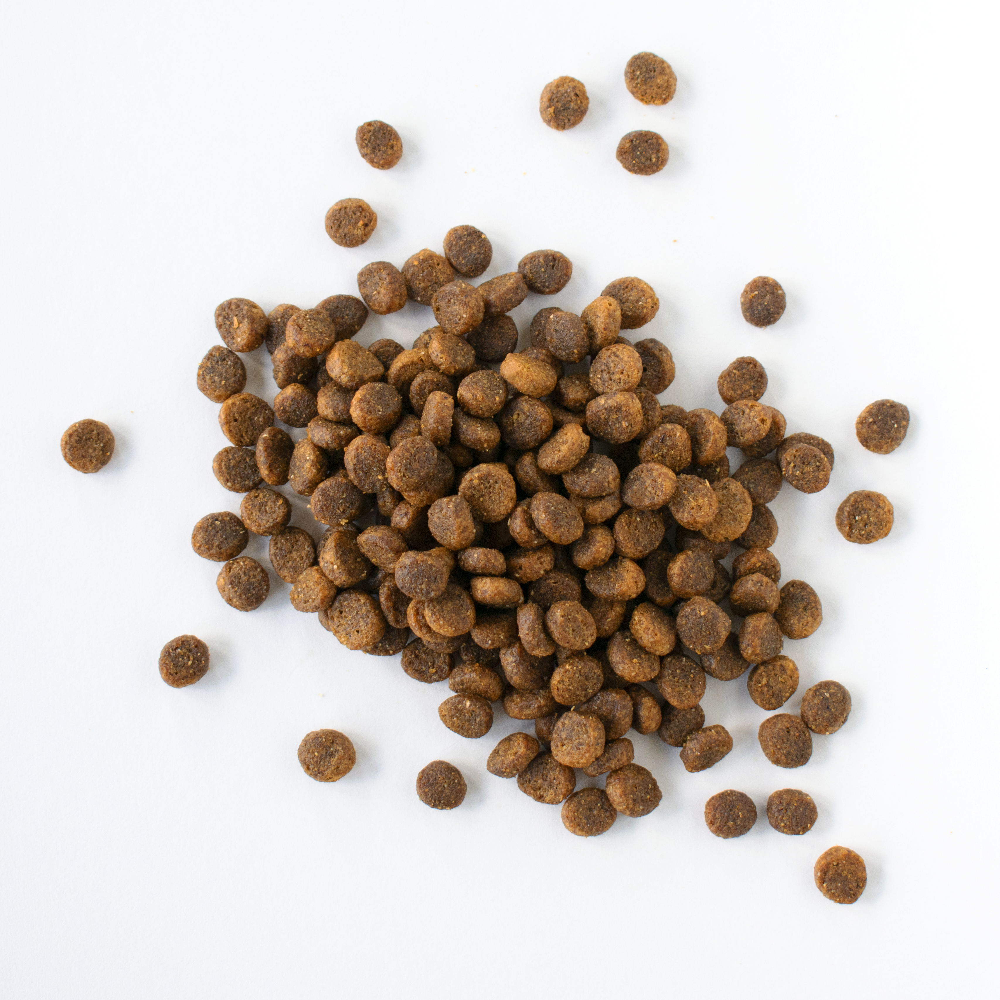 Salmon & Brown Rice - Dog